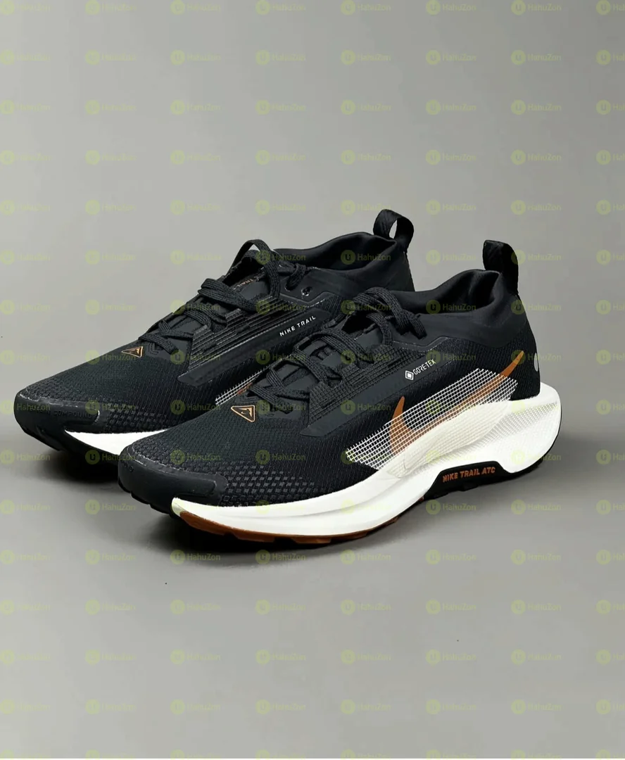 Nike Pegasus Sneaker Shoes