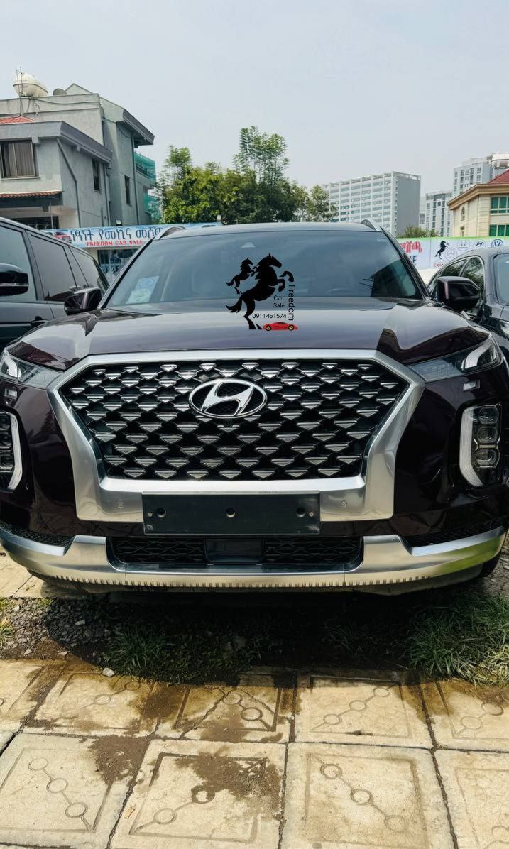2022 Model-Hyundai Palisade