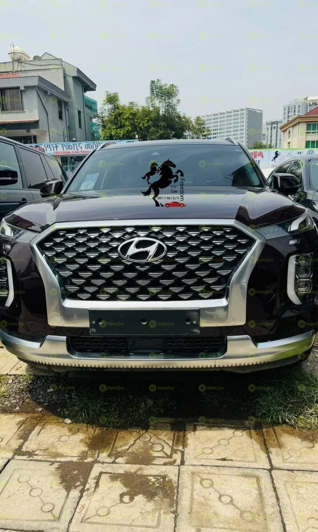 2022 Model-Hyundai Palisade