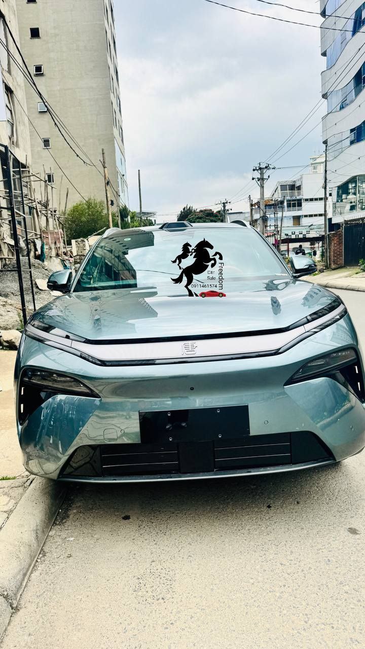 2025 Model-BYD Tang L Dpilot +