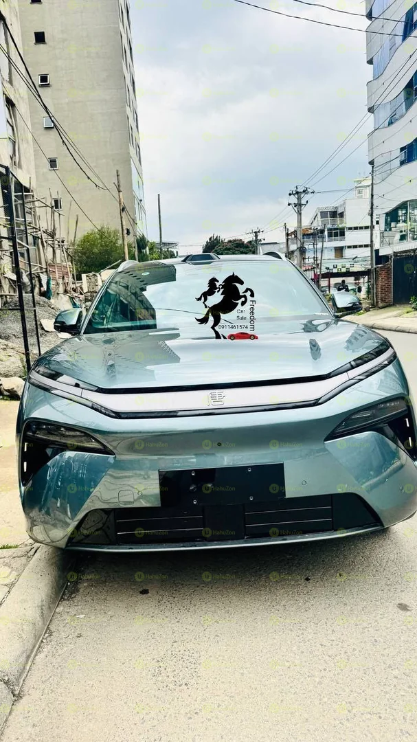 2025 Model-BYD Tang L Dpilot +