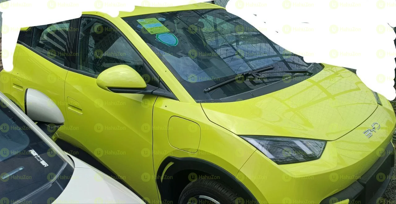 2024 Model-BYD Seagull