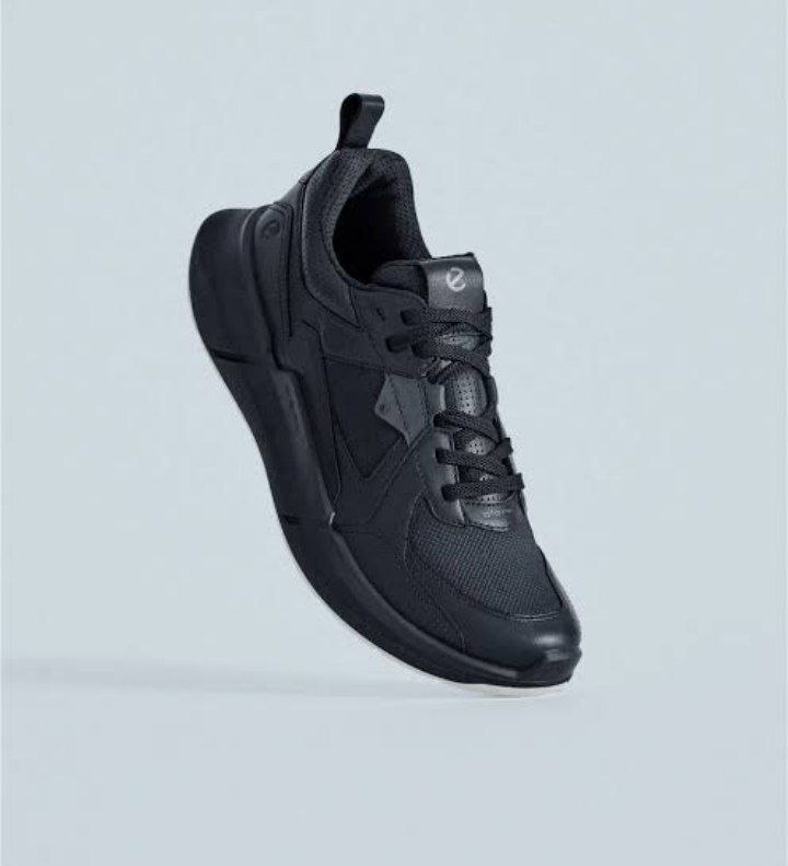 Ecco Men's Shoes