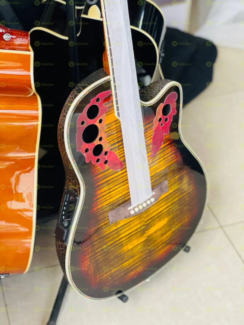 Semi Acoustic Guitar