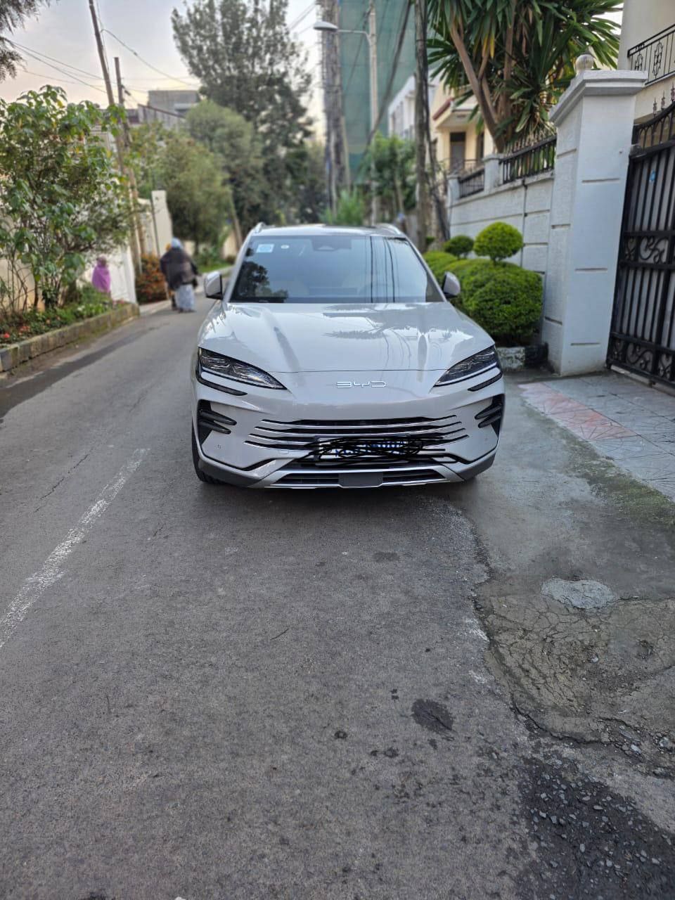 2024 Model-BYD Tang DM-i Champion