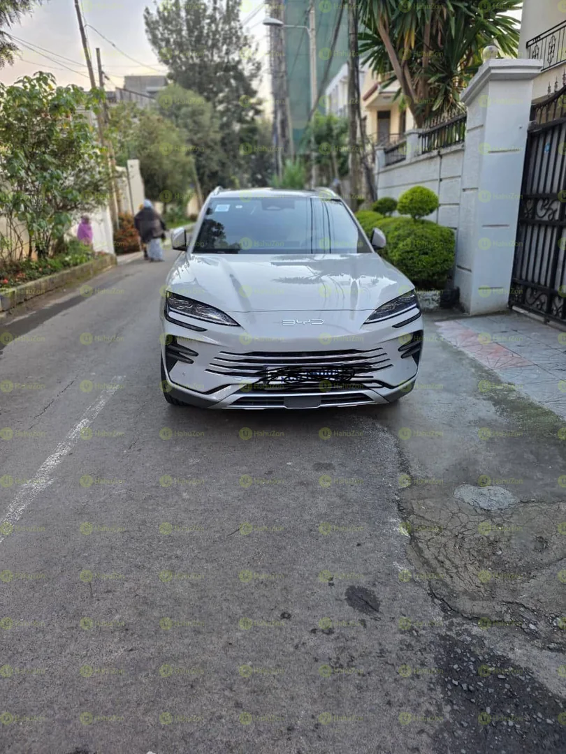 2024 Model-BYD Tang DM-i Champion