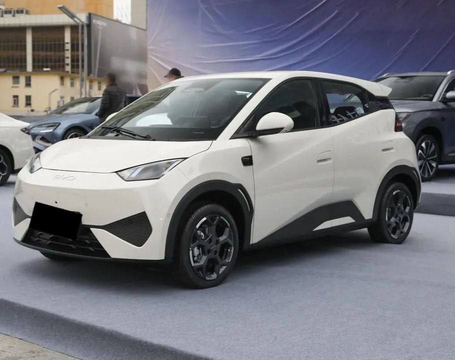 2025 Model-BYD Seagull