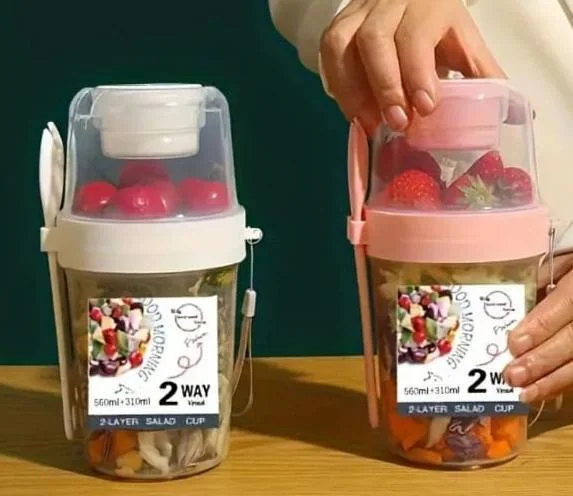 Portable Plastic Bento Box