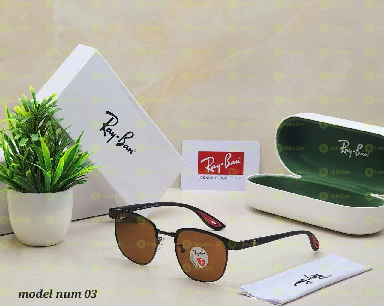 RayBan Eyeglasses