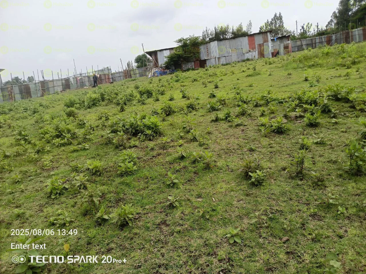 2500 ካሬ የሚሸጥ ቦታ በቃሊቲ