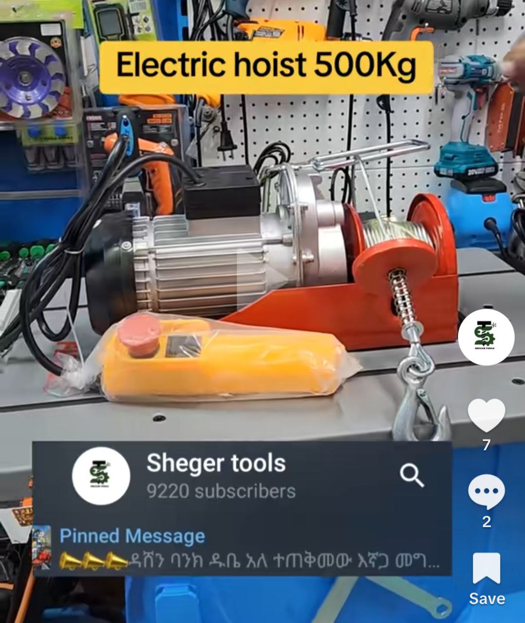 Electric Hosit 500kg