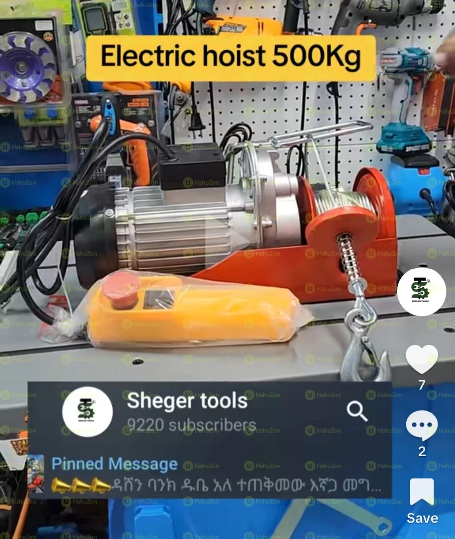 Electric Hosit 500kg