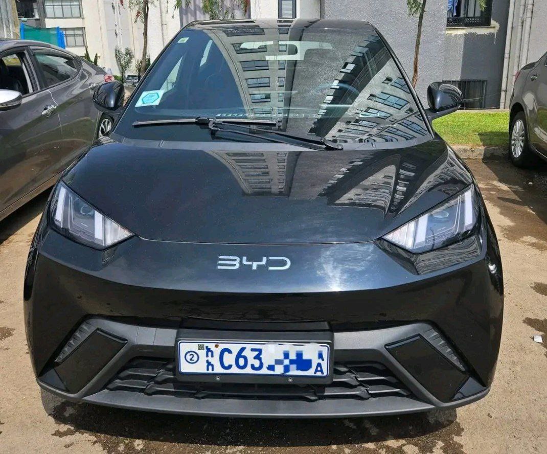 2024 Model-BYD Segul