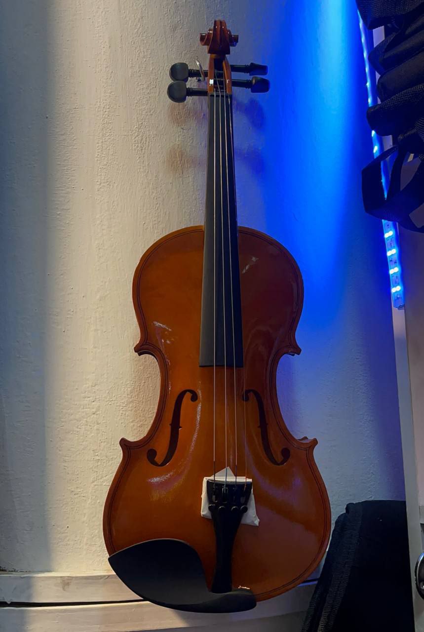 Violin