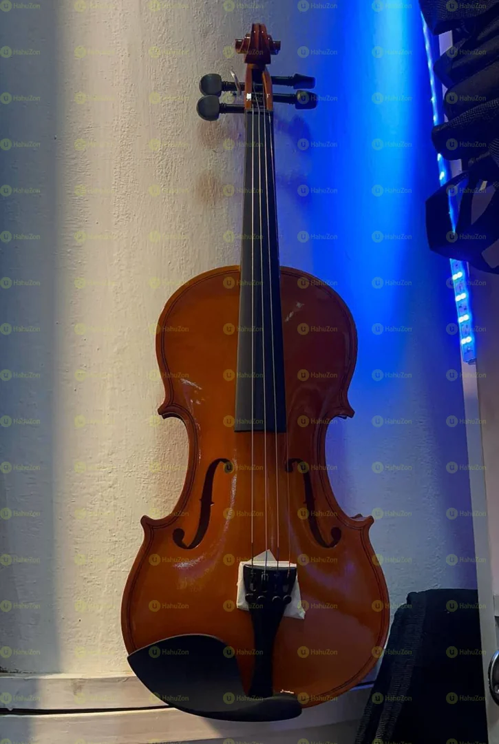 Violin