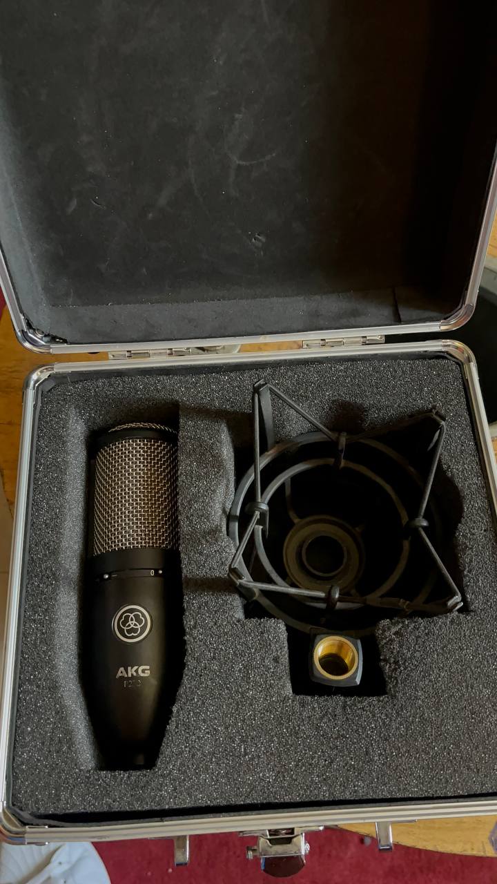 AKG P220 Studio Mic