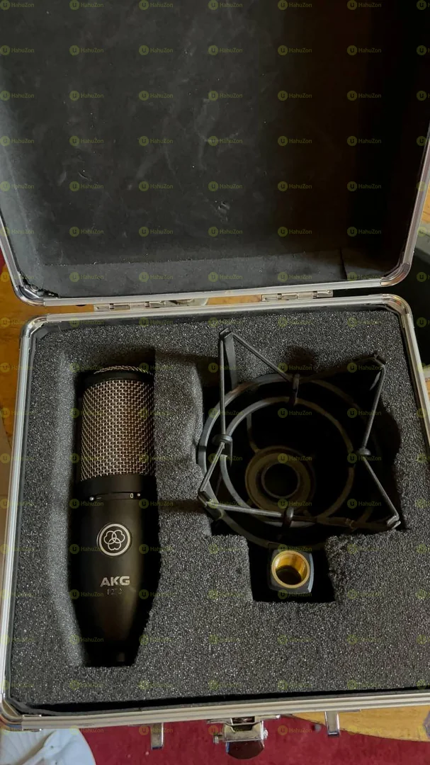 AKG P220 Studio Mic