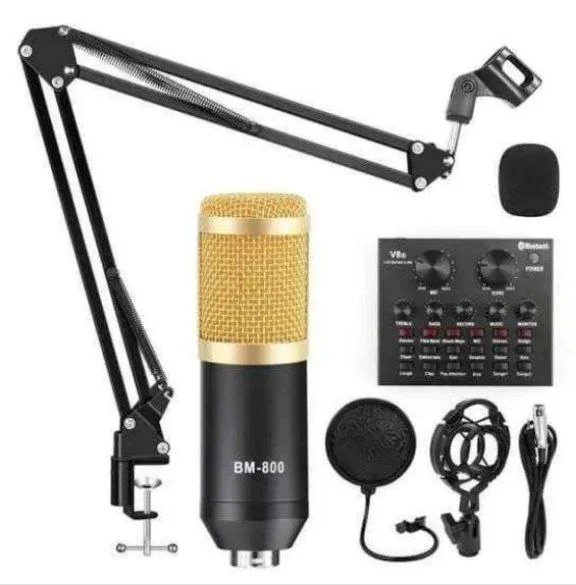 BM-800 Podcast Mic