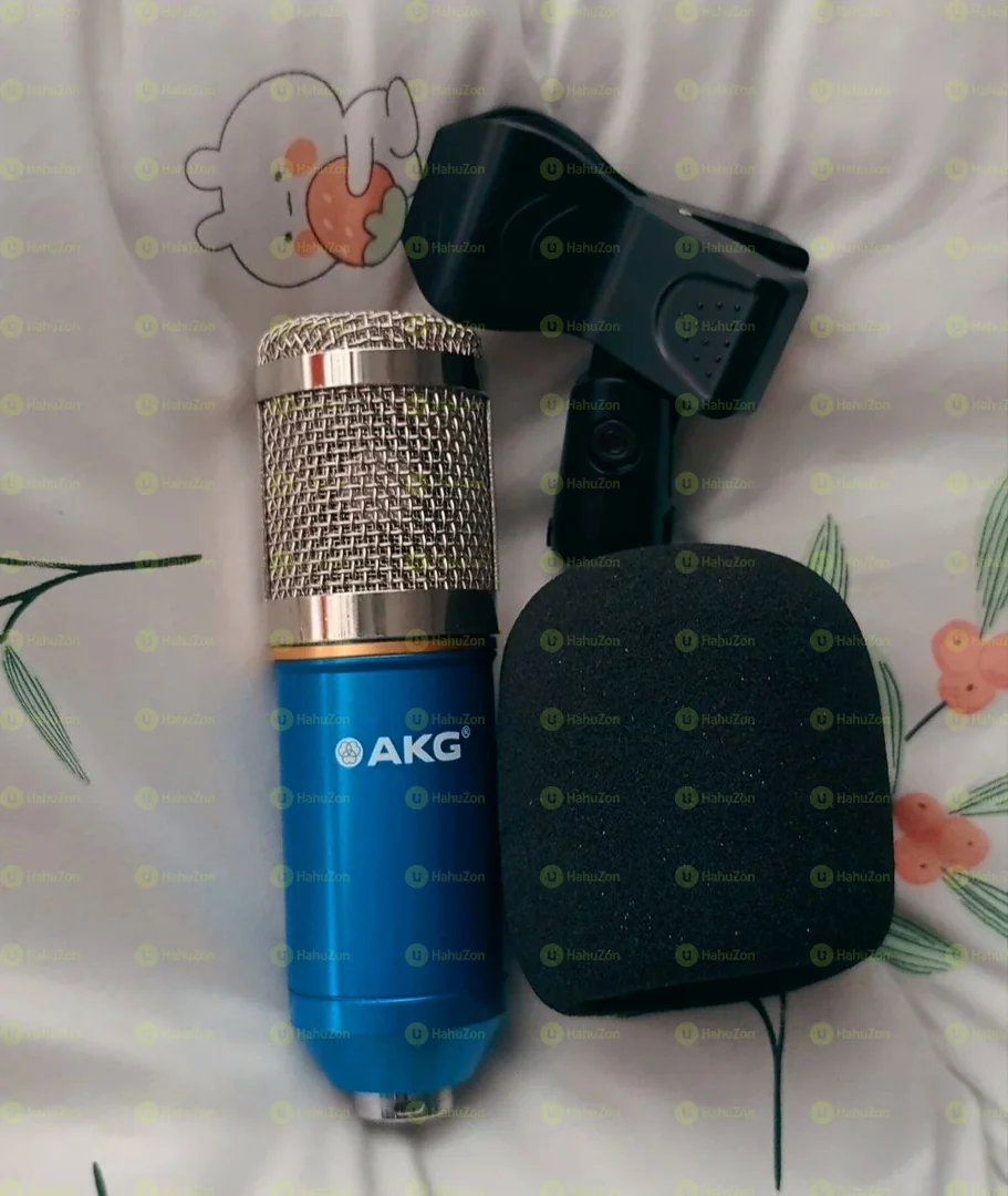 AKG Studio Mic