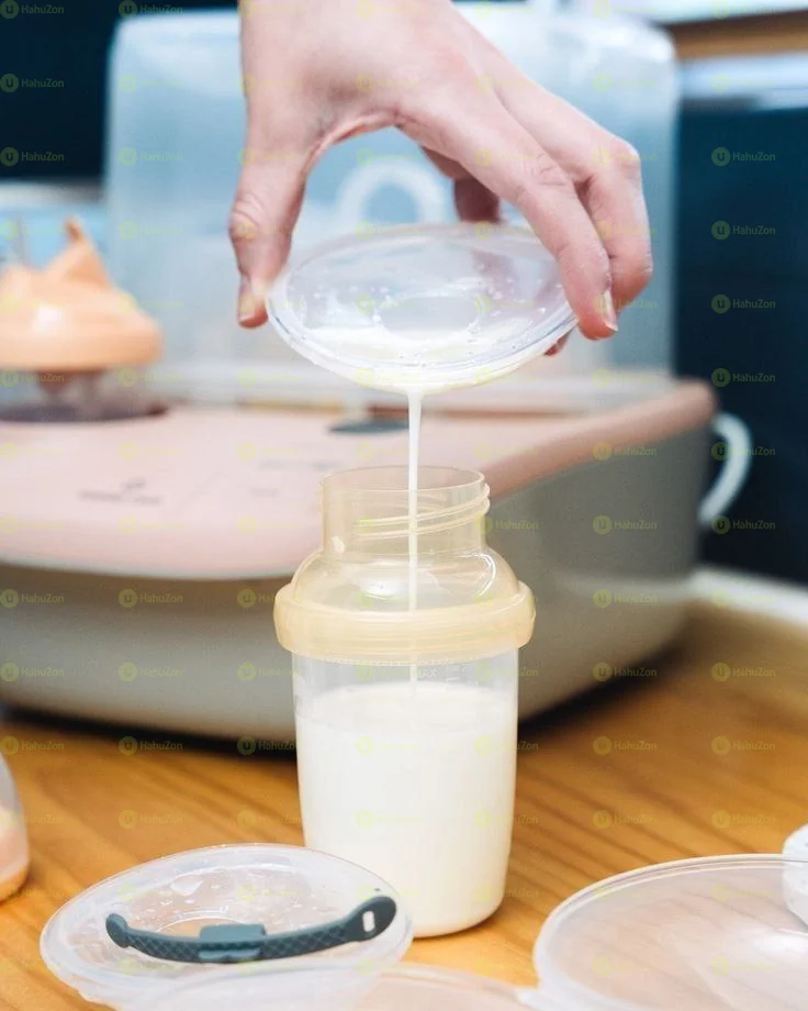 Breast Shell Milk Collector