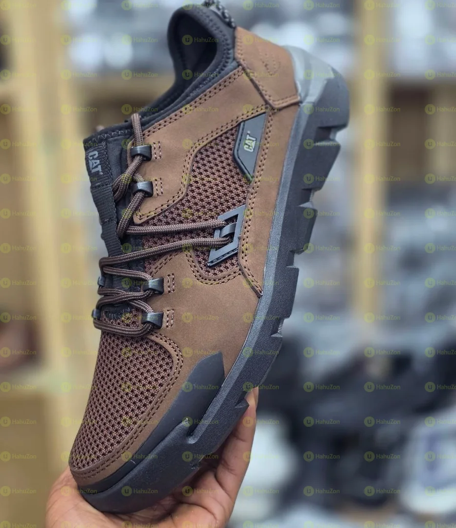 Cat Men's Shoes