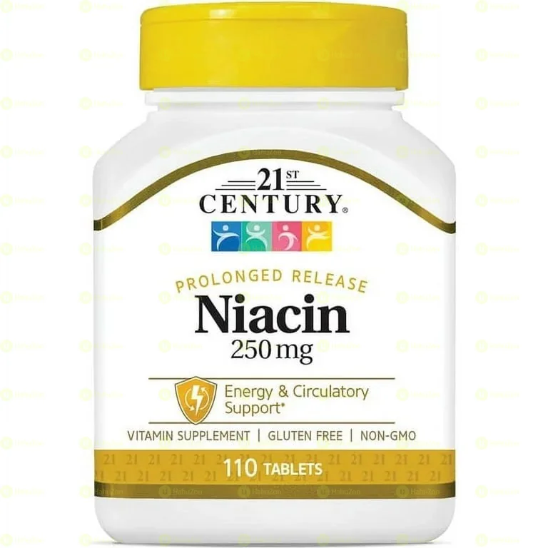 21st Century Prolonged Niacinamide 250 mg 110tablets