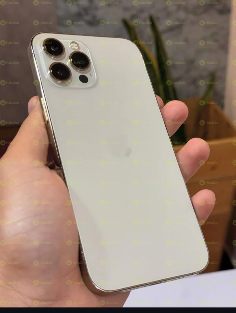 Apple Iphone 12 Pro Max