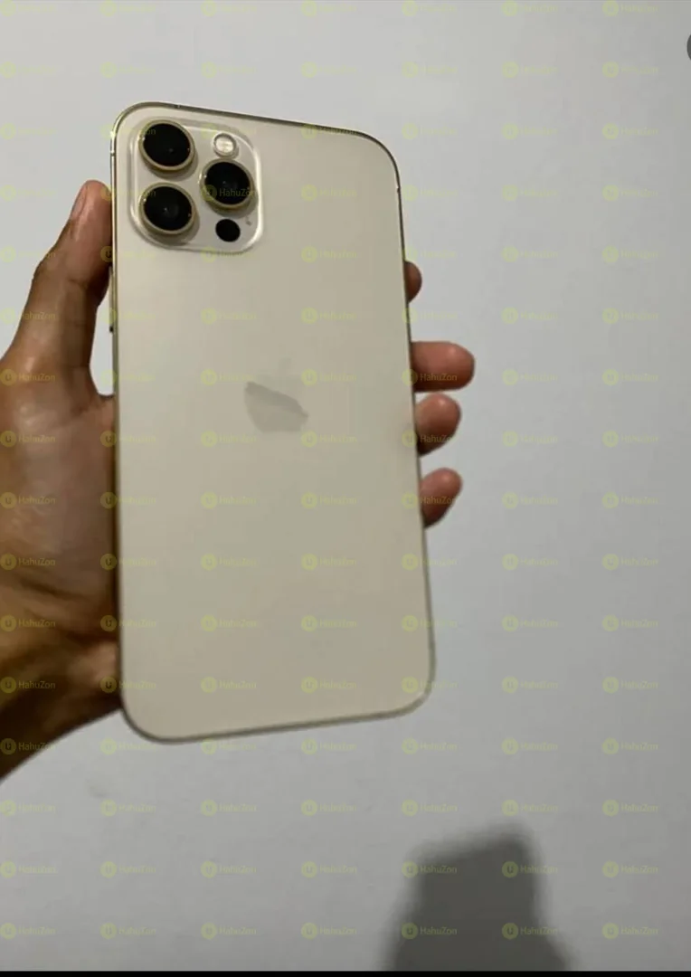 Apple Iphone 12 Pro Max