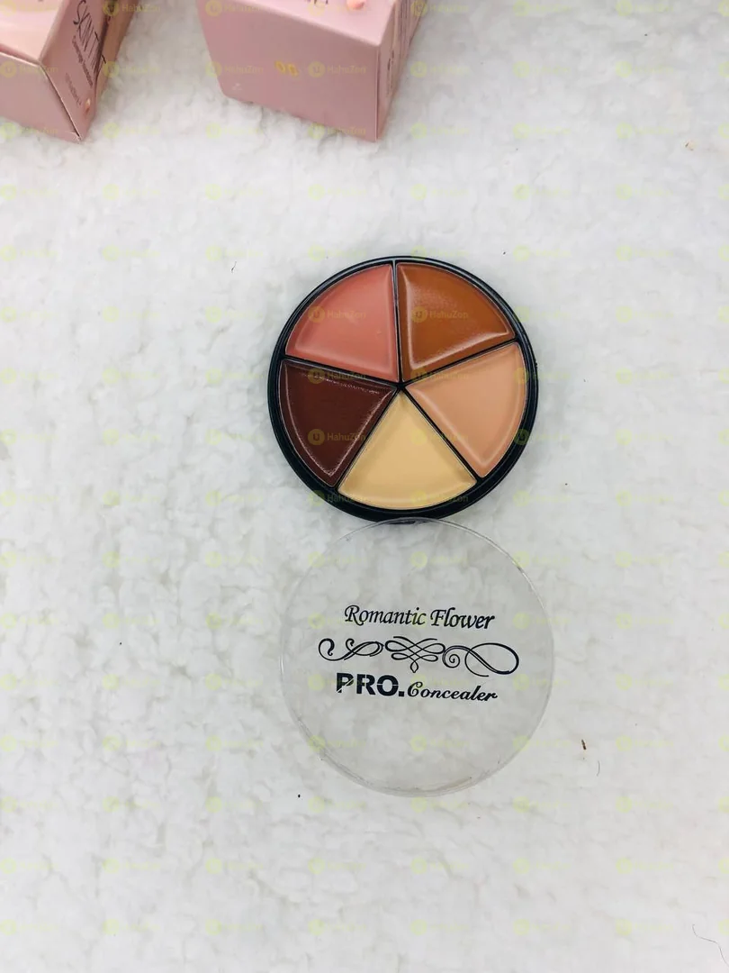 Pro Concealer