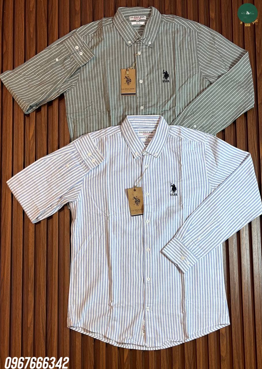 U.S Polo Button Down Men's Shirt
