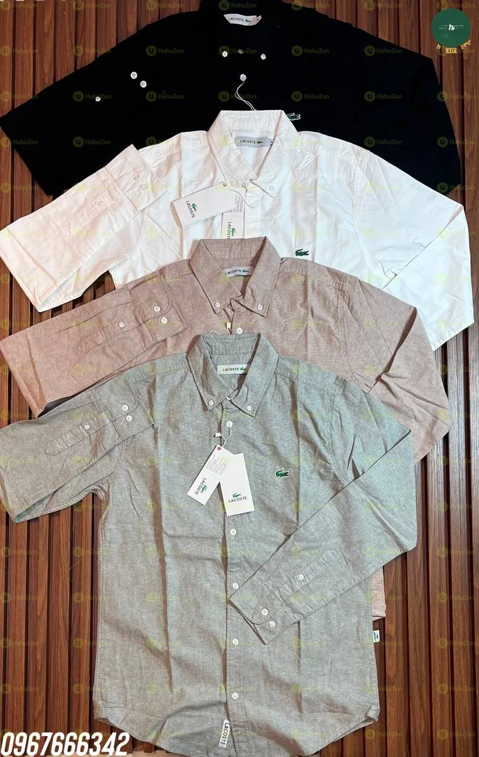 Lacoste Button Down Men's Shirt