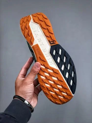 Nike Gor-te Men's Shoes