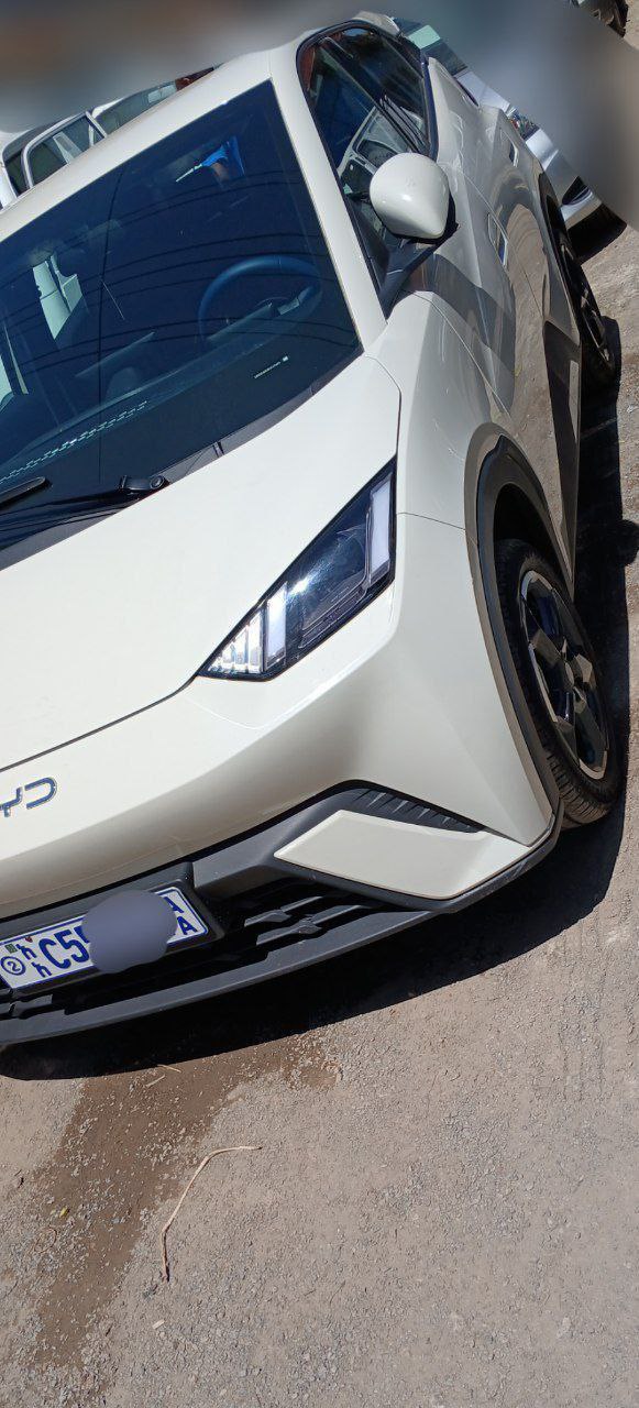 2024 Model-BYD Seagull