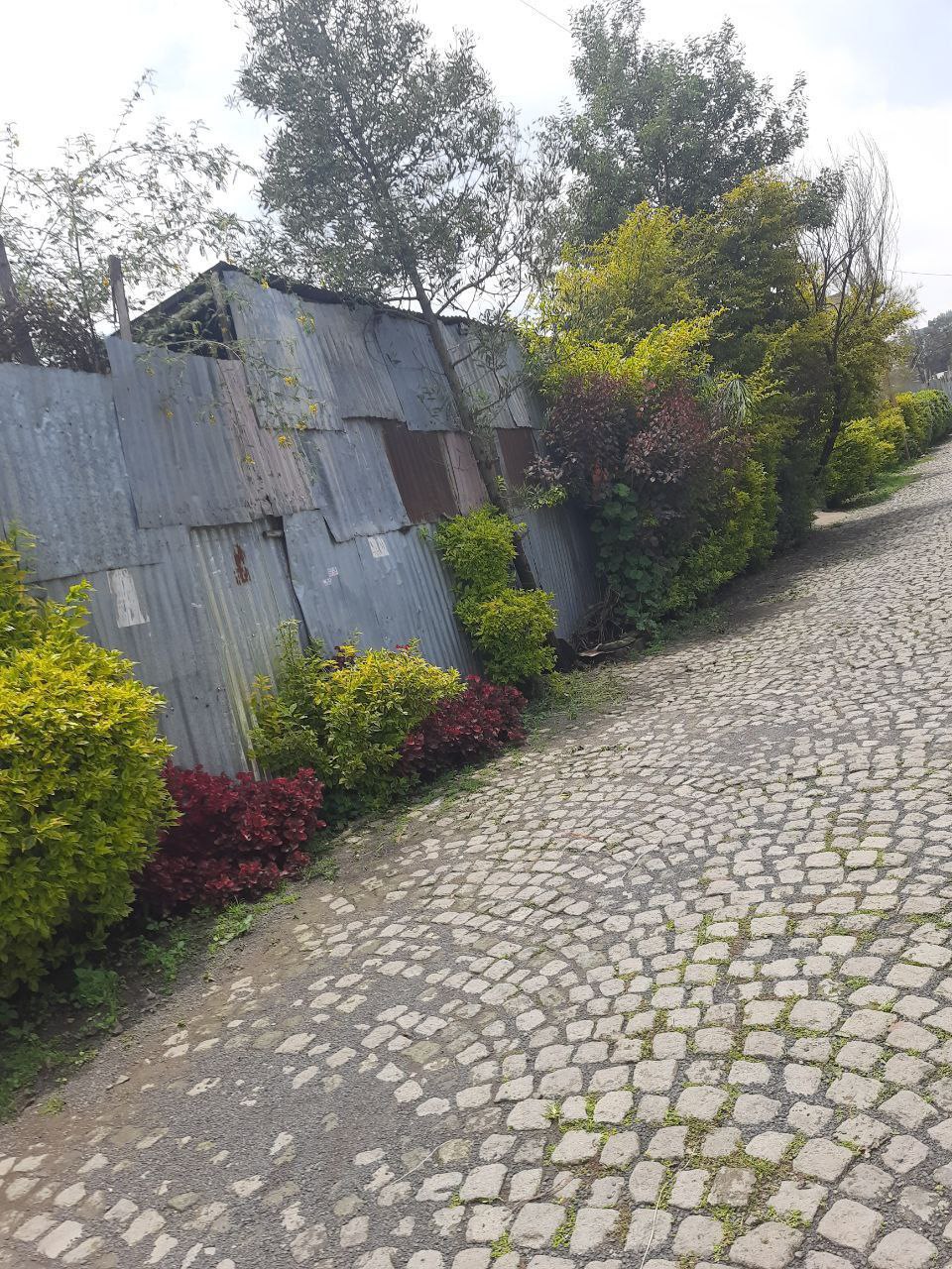 300 ካሬ የሚሸጥ ቦታ በሰሚት