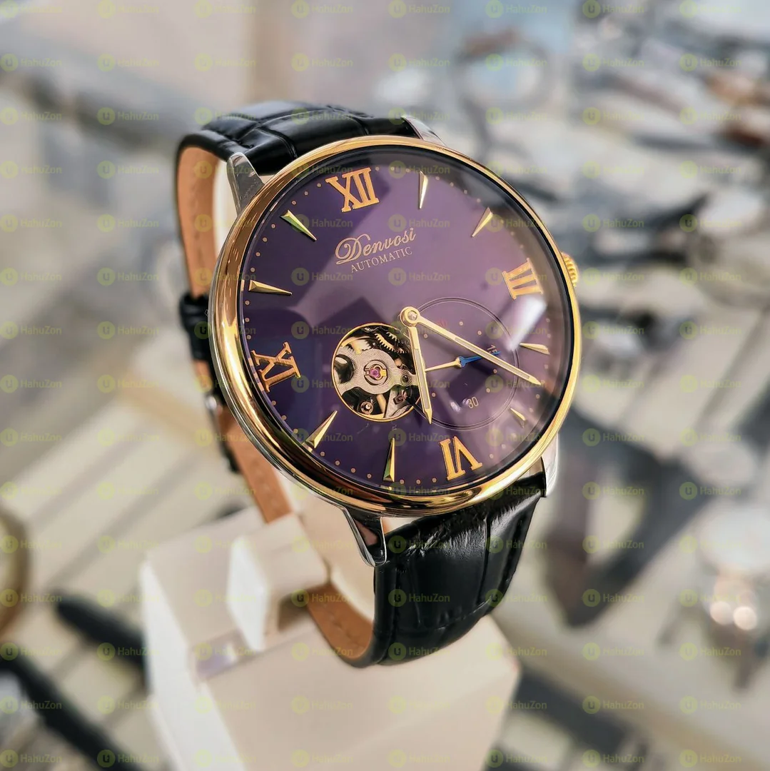 Denvosi Mechanical Men's Watches