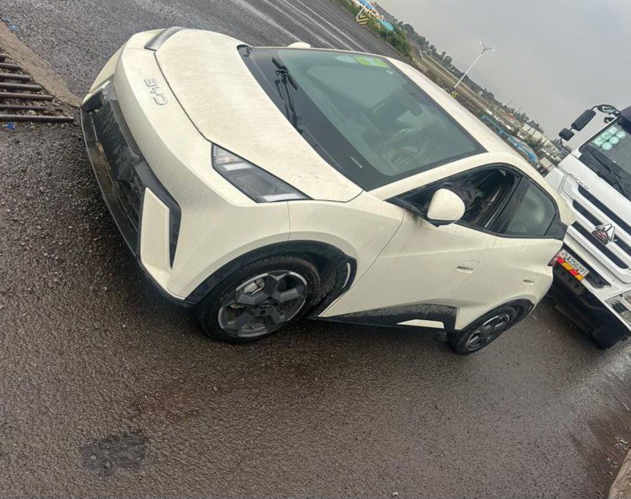 2024 Model-BYD Seagull