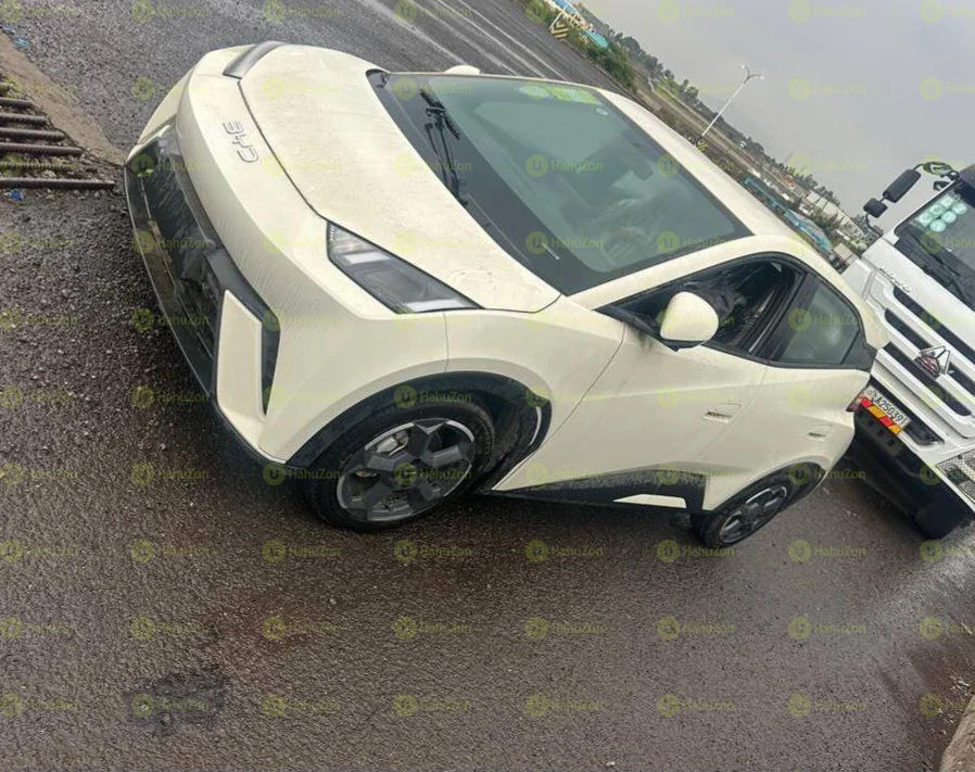 2024 Model-BYD Seagull