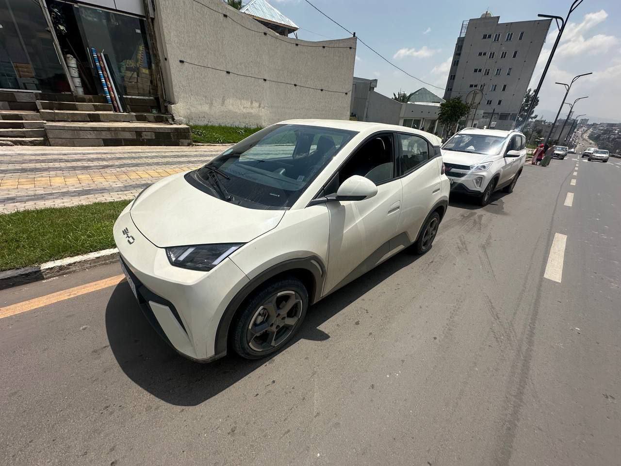 2024 Model-BYD Seagull