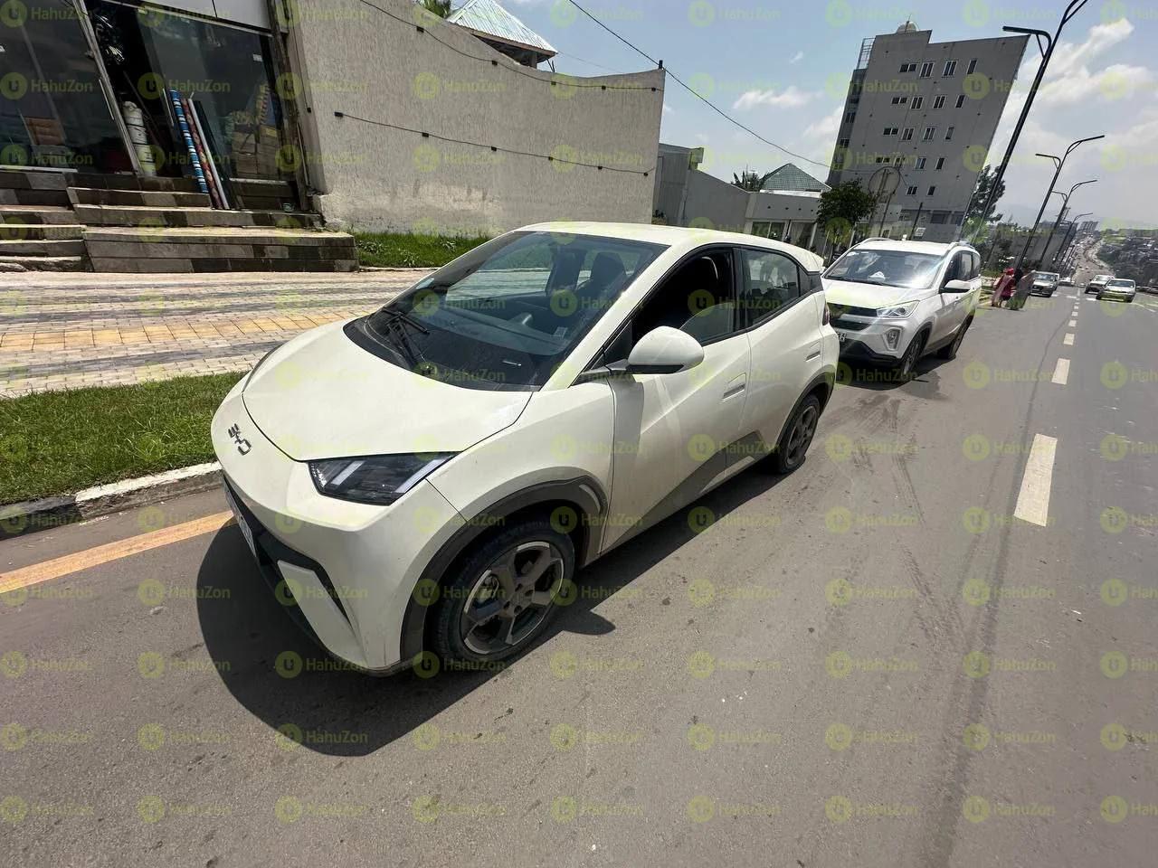 2024 Model-BYD Seagull