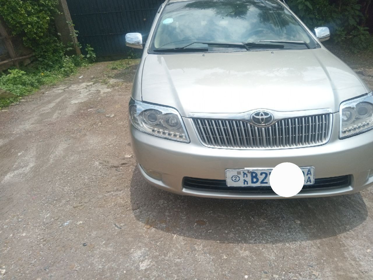 2007 Model-Toyota Corolla