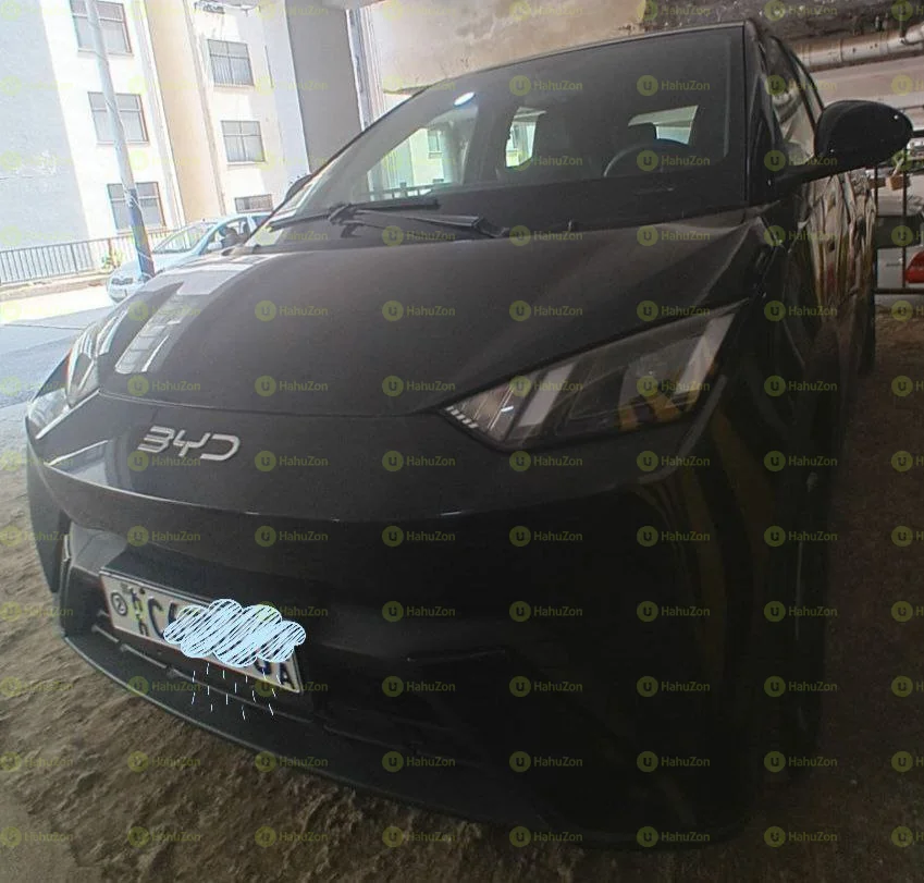 2024 Model-BYD Seagull