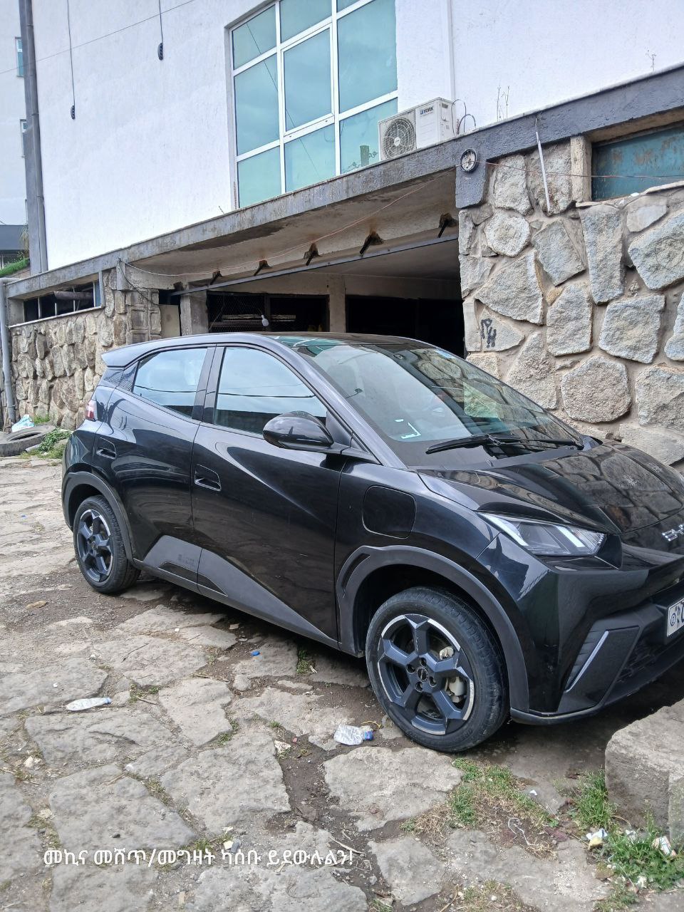 2023 Model-BYD Seagull