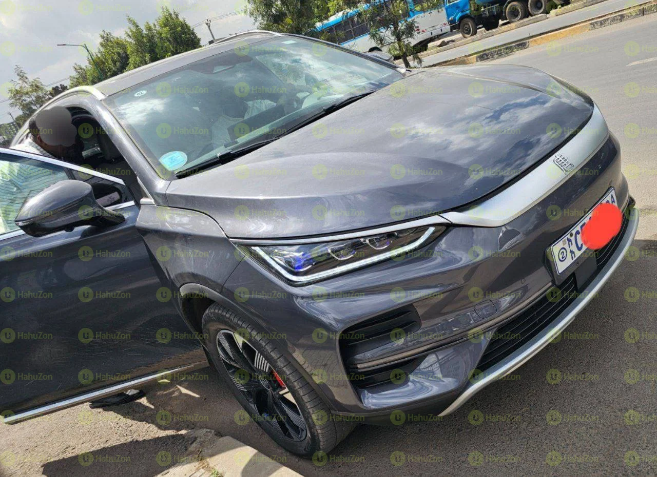 2024 Model-BYD Tang