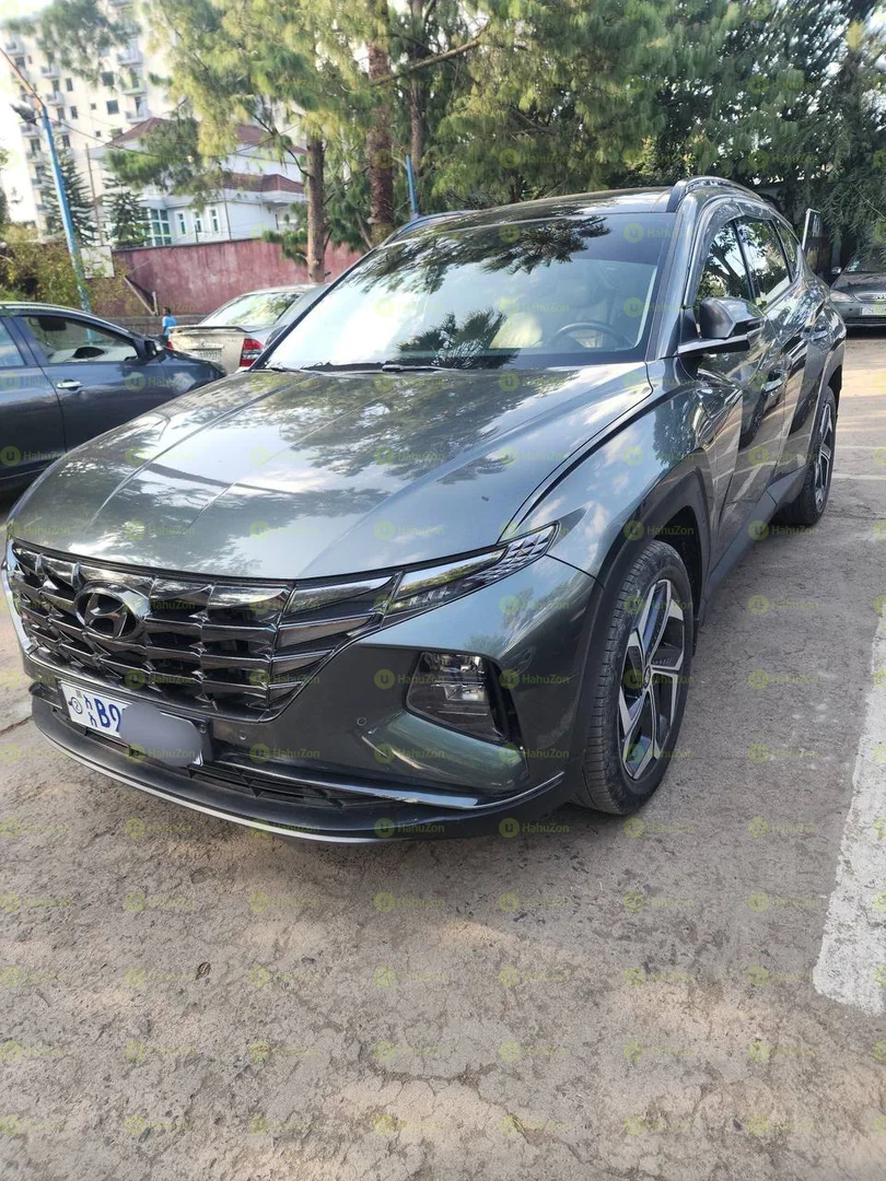 2021 Model-Hyundai Tucson