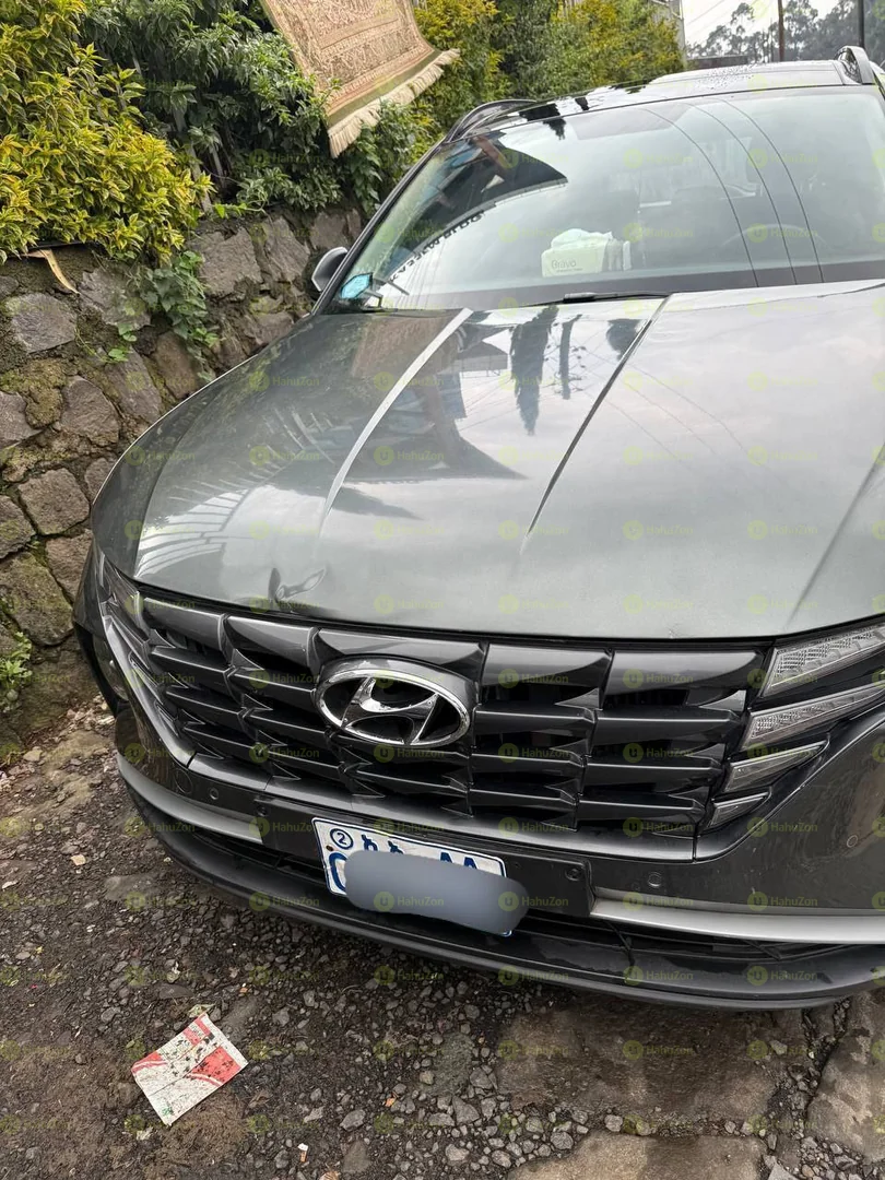 2021 Model-Hyundai Tucson