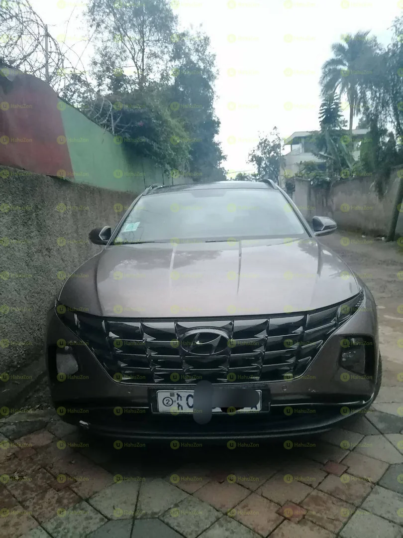 2022 Model-Hyundai Tucson