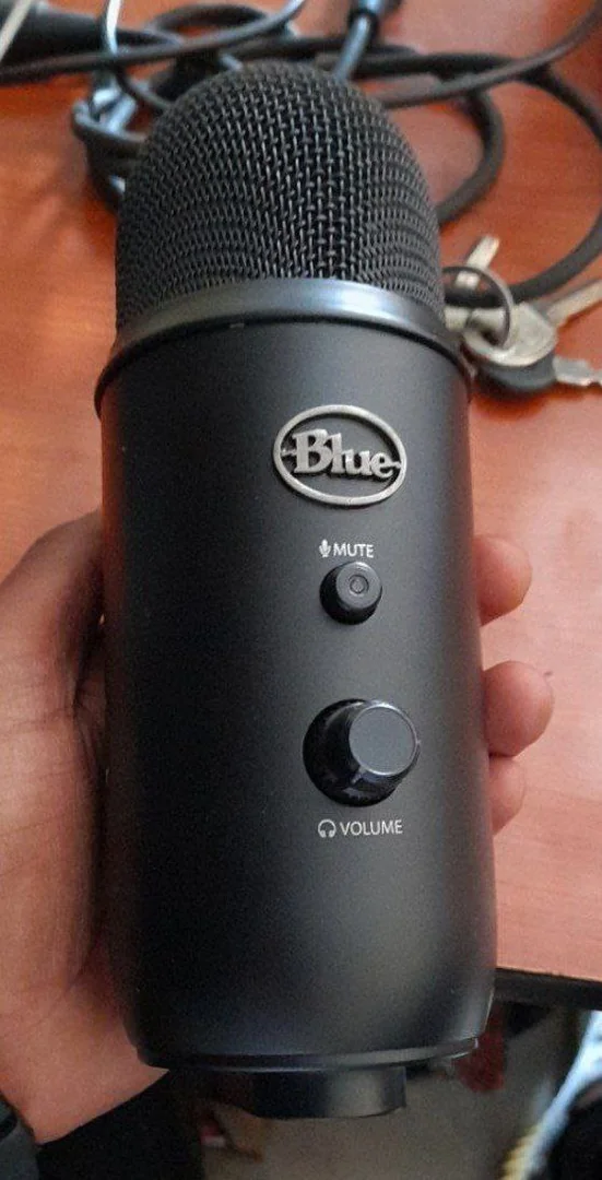 Blue Original Professional Condensor Microphone