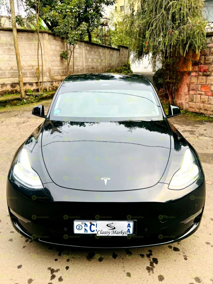 2022 Model-Tesla Y