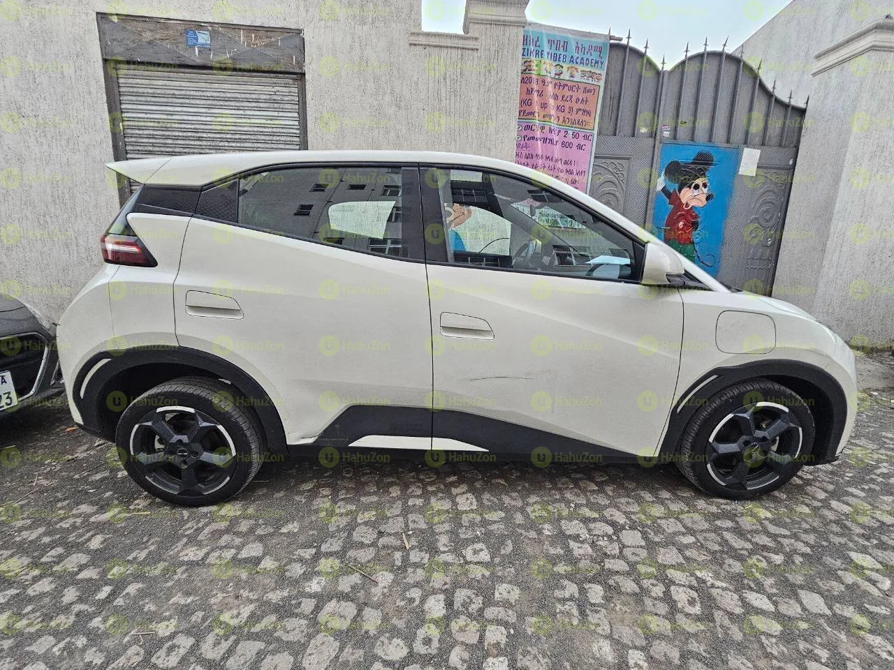 2024 Model-BYD Seagull