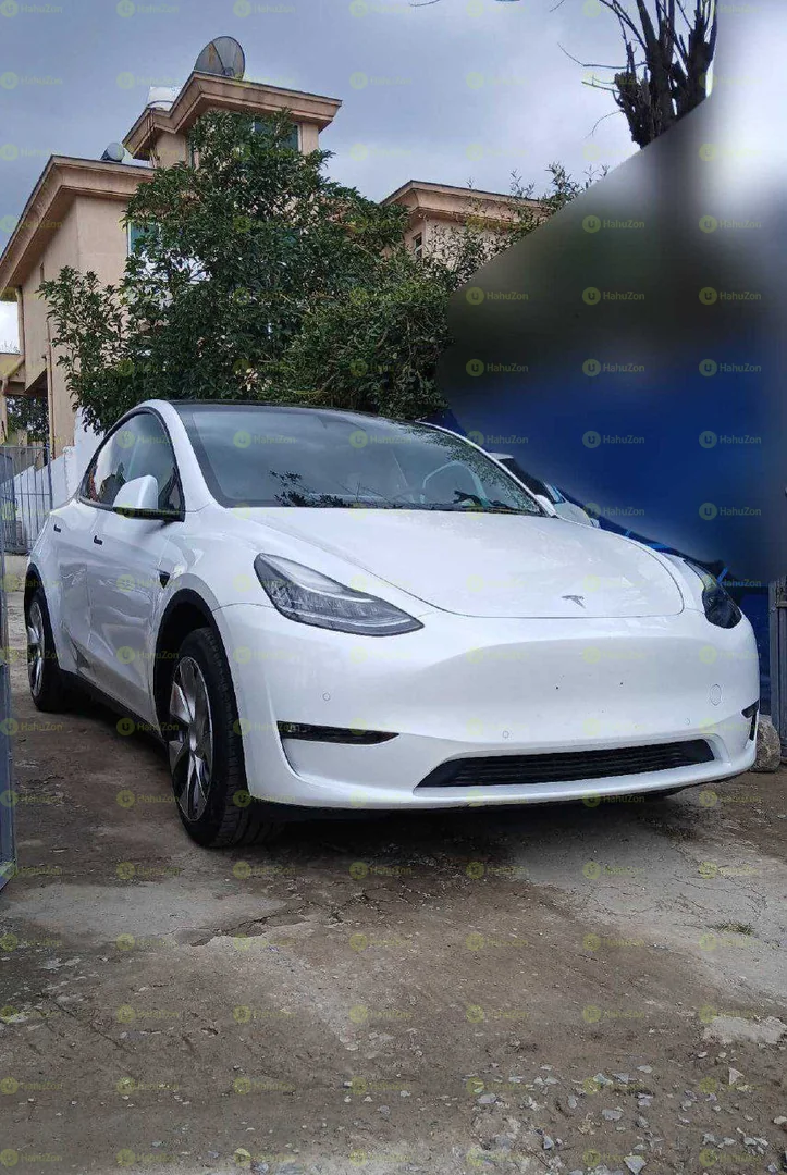 2023 Model-Tesla Y